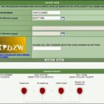 Visa Application Form