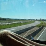 Bus to Florianopolis