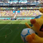 Fuleco in Curitiba
