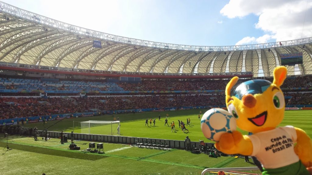 Fuleco vs Netherlands