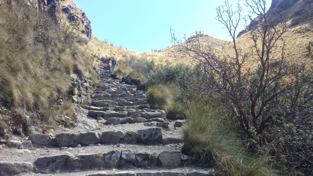 Inca Trail rock path