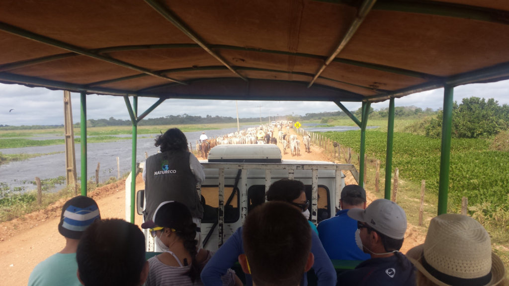Bus on our Pantanal trip
