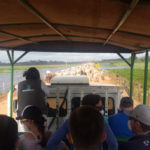 Bus on our Pantanal trip