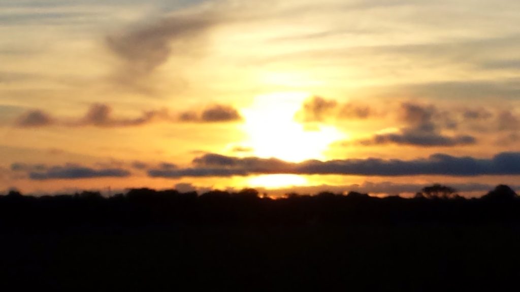 Sunset on the Pantanal