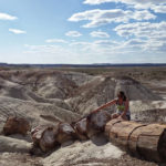 Petrified Forest, Arizona