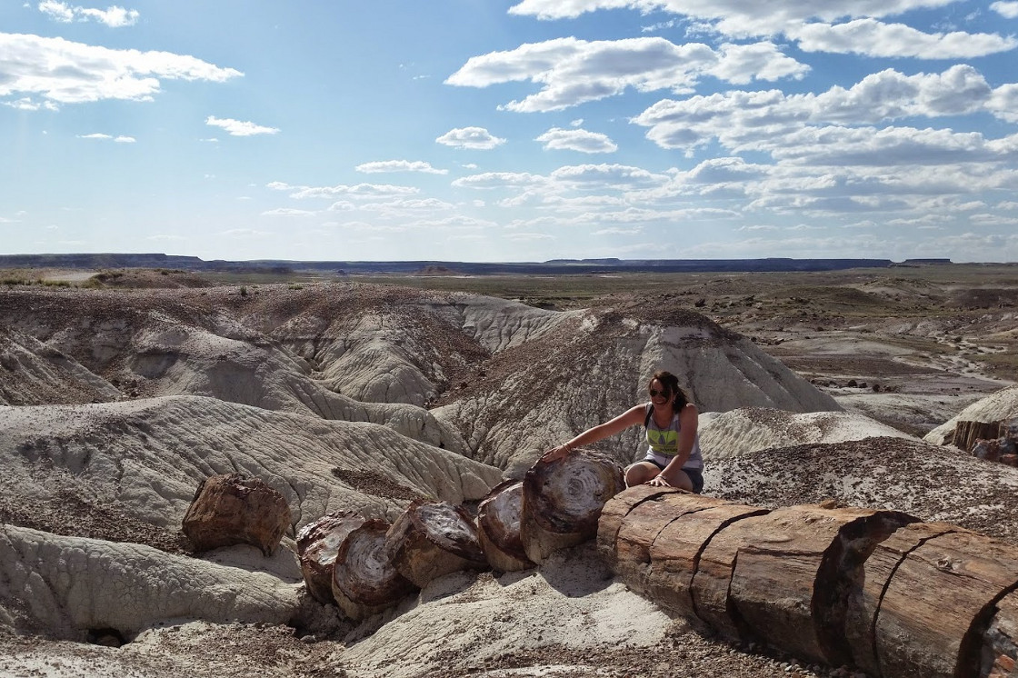 Petrified Forest, Arizona