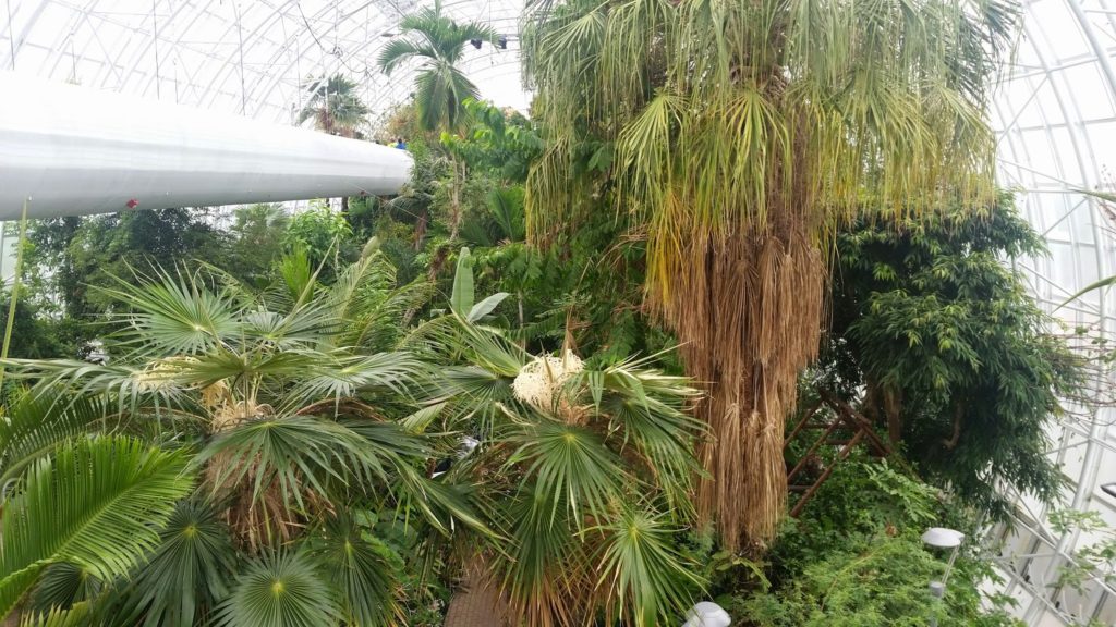 Oklahoma Botanical Gardens