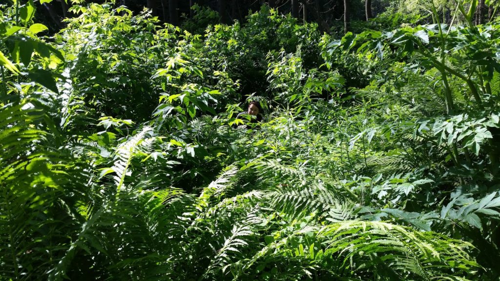 Linnie in Jungle