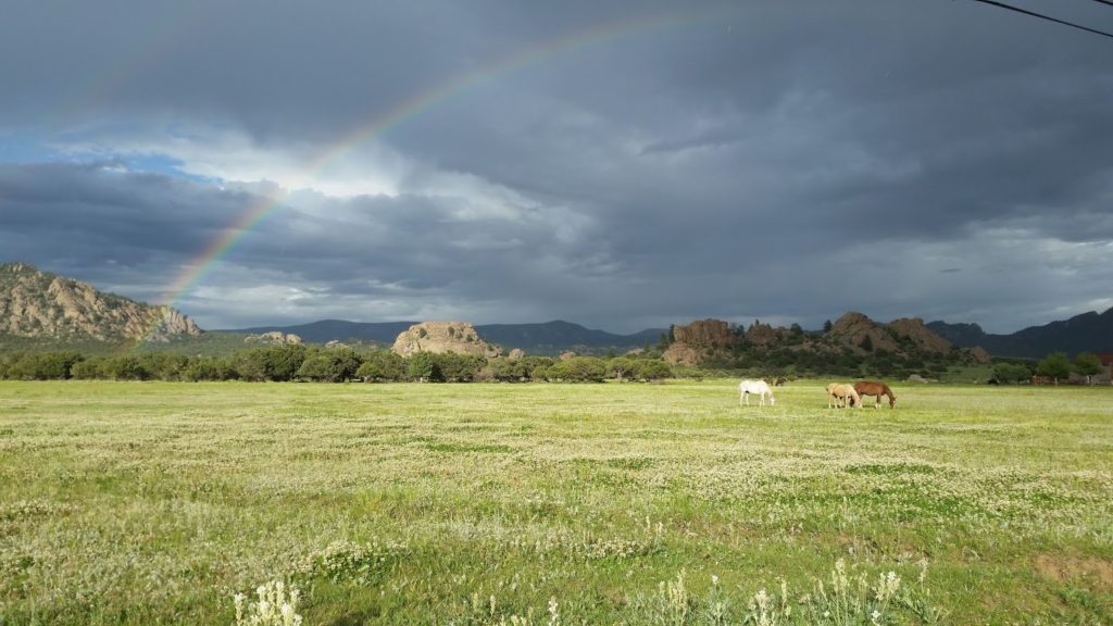 Buene Vista paddock rainbow