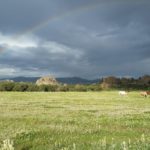 Buene Vista paddock rainbow