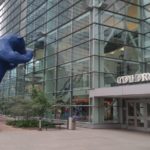 Colorado Stadium bear