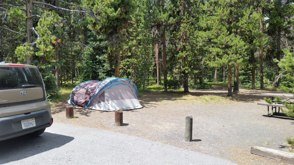 Grant Campground Yellowstone tent