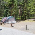 Grant Campground Yellowstone tent