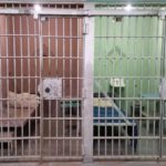 Idaho State Penitentiary jail cell