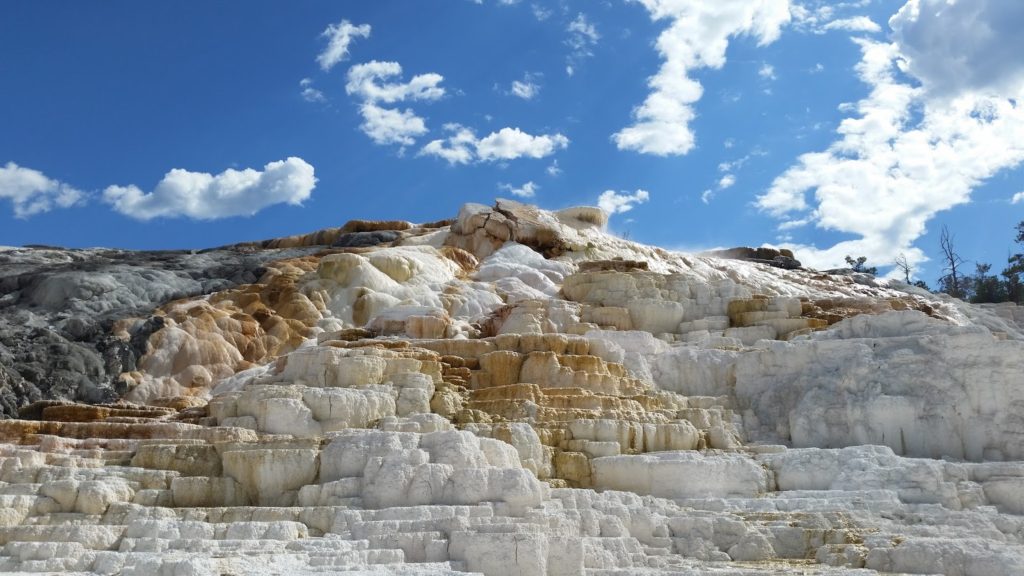 Mammoth Hot Springs