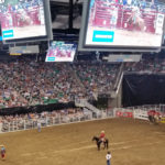 Utah Rodeo