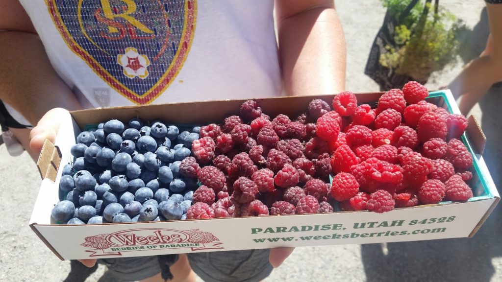 Utah Berries