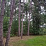 Wisconsin Dells KOA train tracks