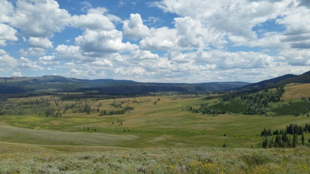 Yellowstone countryside