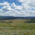 Yellowstone countryside