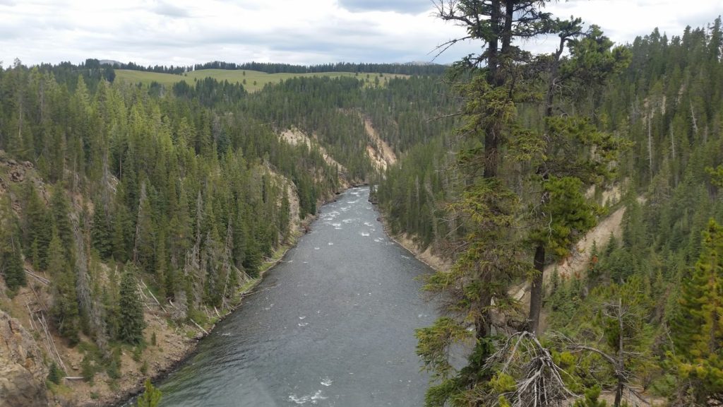 Yellowstone river view