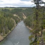 Yellowstone river view