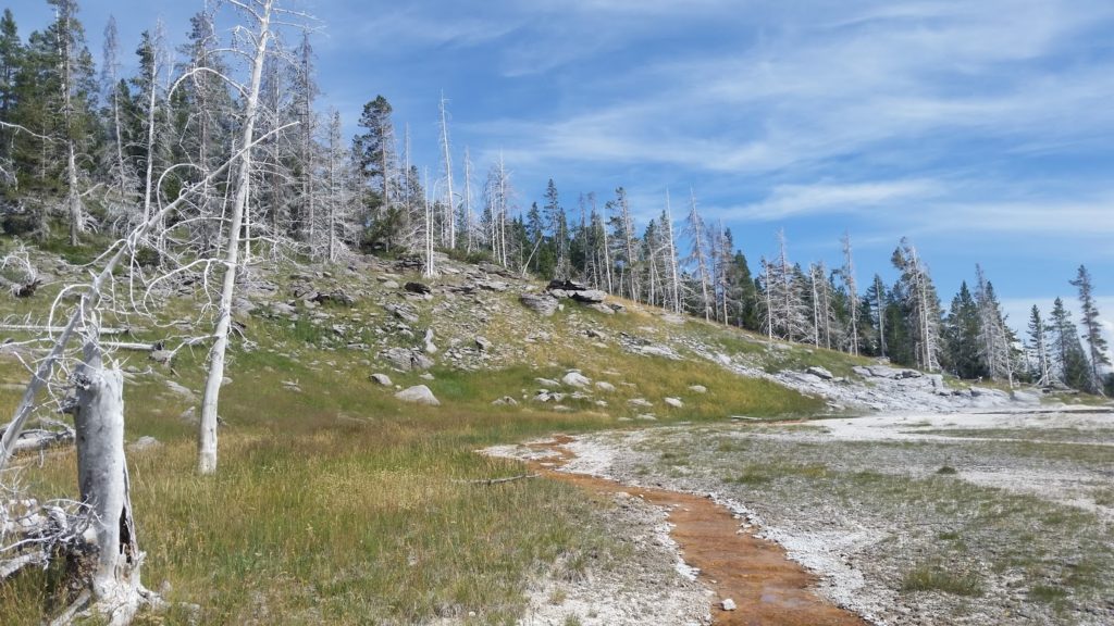 Yellowstone scenery