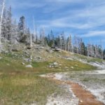 Yellowstone scenery
