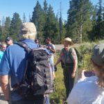 Yellowstone tour lady