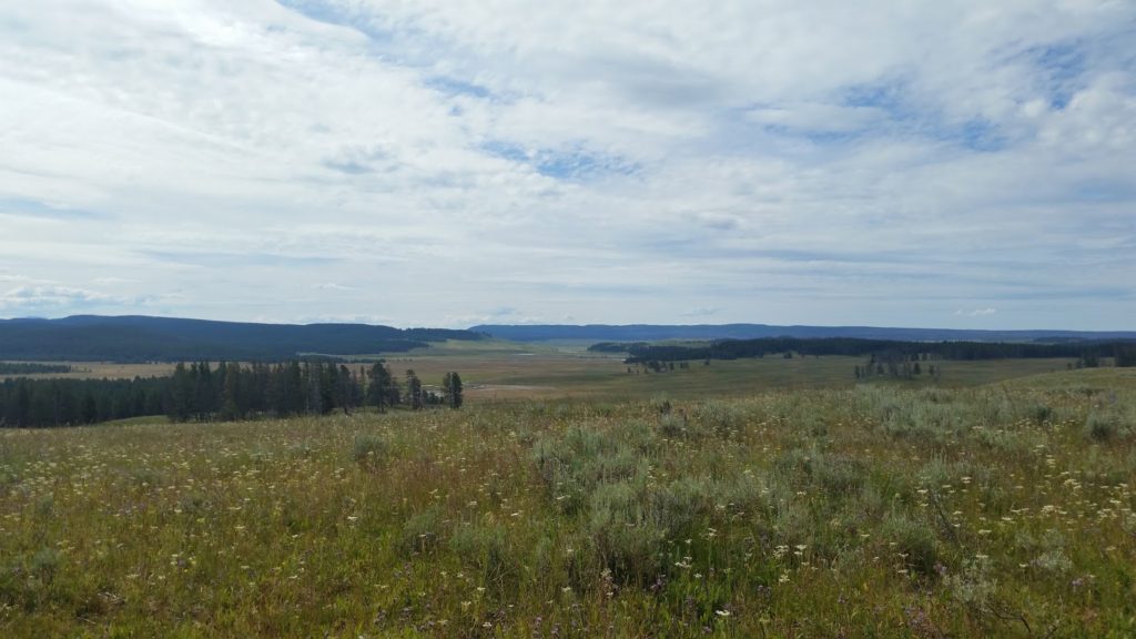 Yellowstone walk