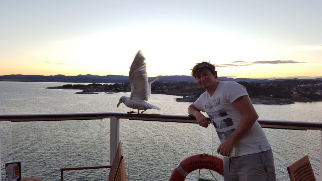 Adam & Seagull