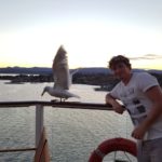 Adam & Seagull
