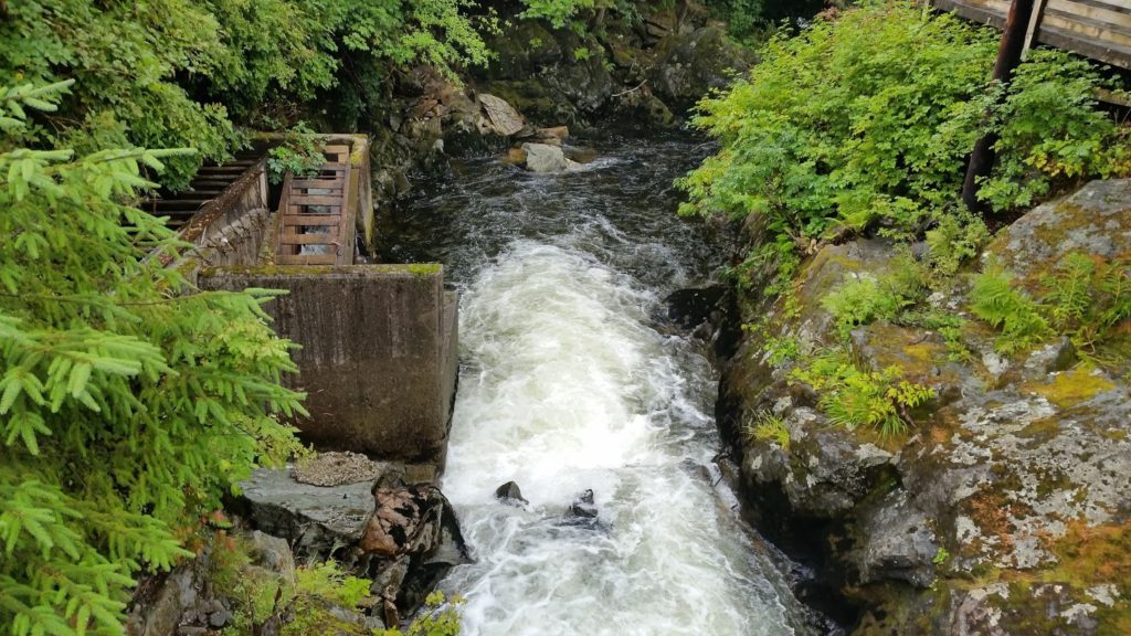 Trout river Ketchikan