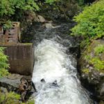 Trout river Ketchikan