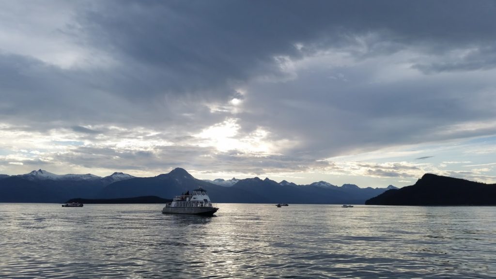 Whale watching in Juneau