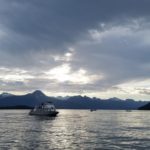 Whale watching in Juneau