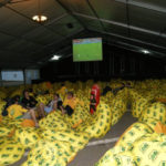 Fanatics beanbags