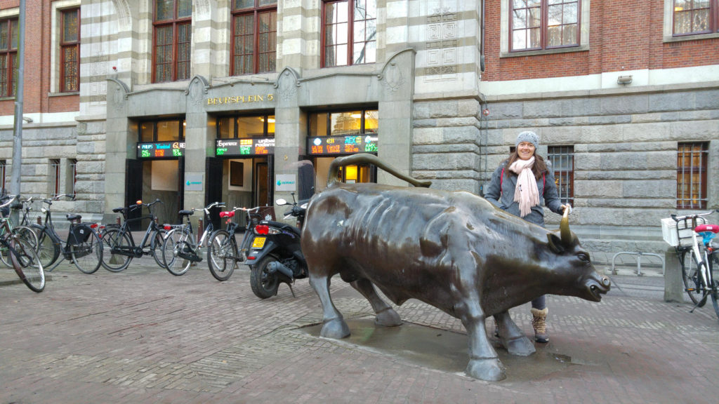 Amsterdam bull