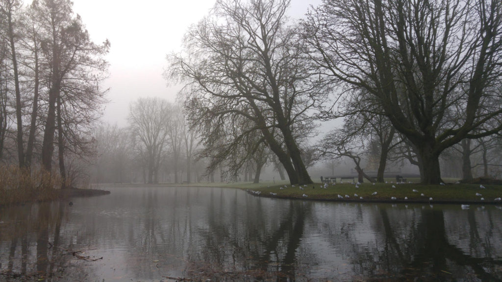 Vindelpark fog