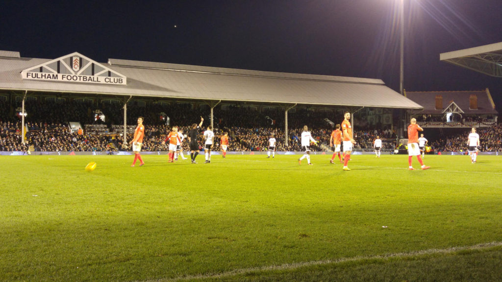 Fulham vs Brighton 3
