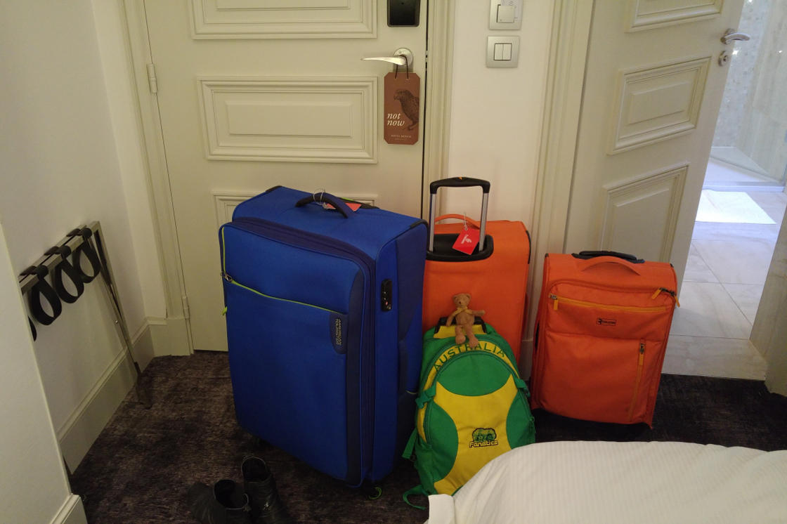 Paris luggage