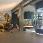 Inside Tar Pits Museum