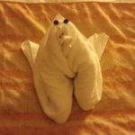 Towel teddy