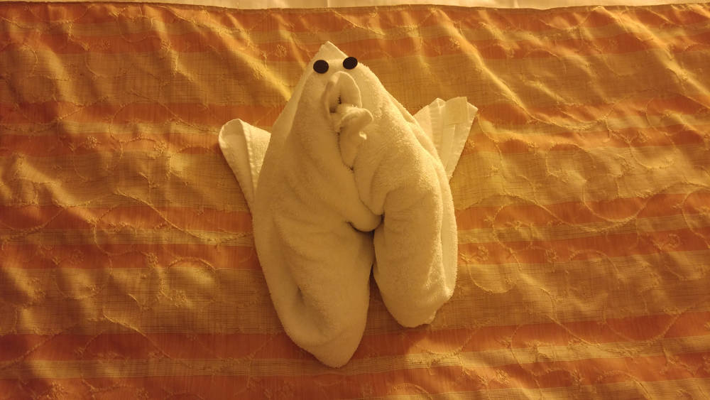 Towel teddy