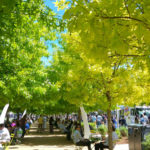 Klyde Warren Park trees