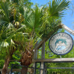 Lake Charles Aligators