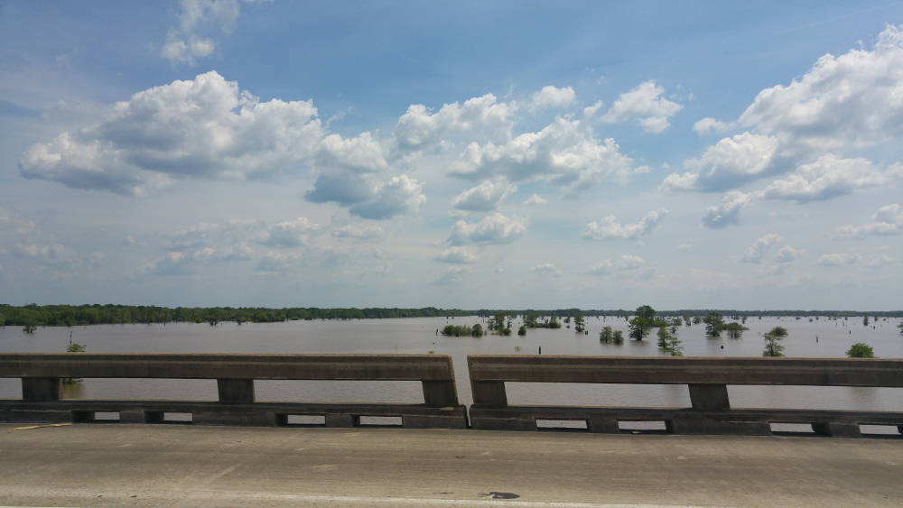 Swamp bridge in Louisiana