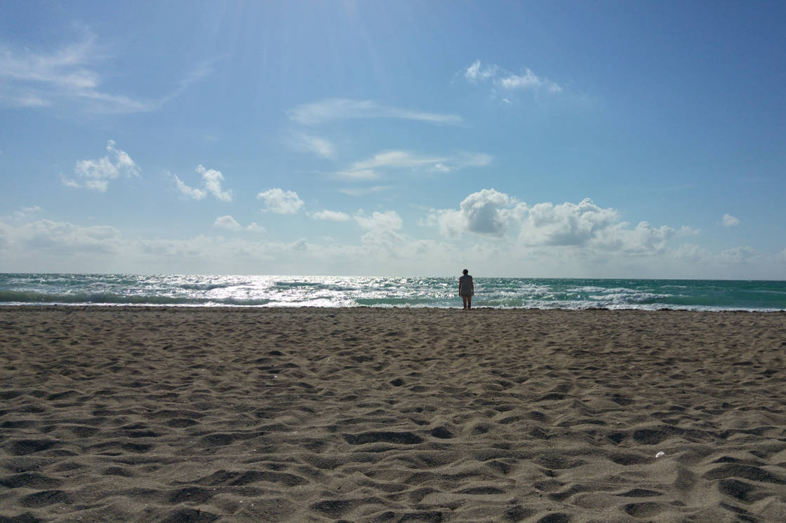Linnie Miami beach