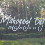 Mahogany Bay header