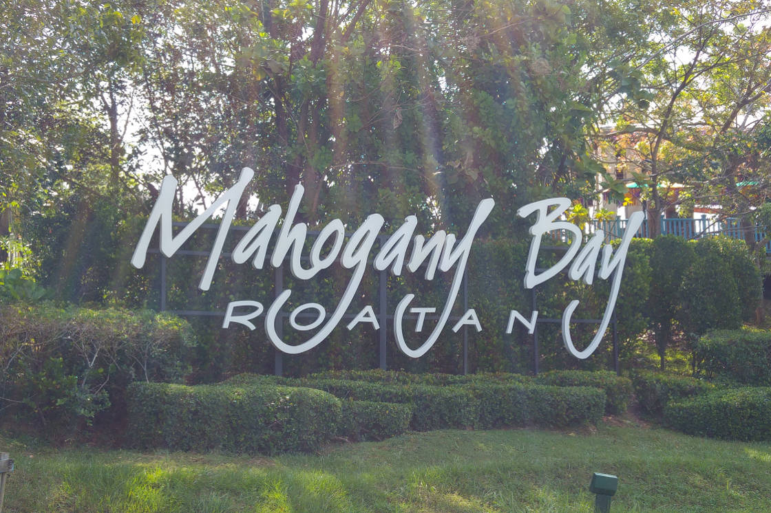Mahogany Bay header